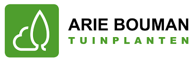 arie bouman
